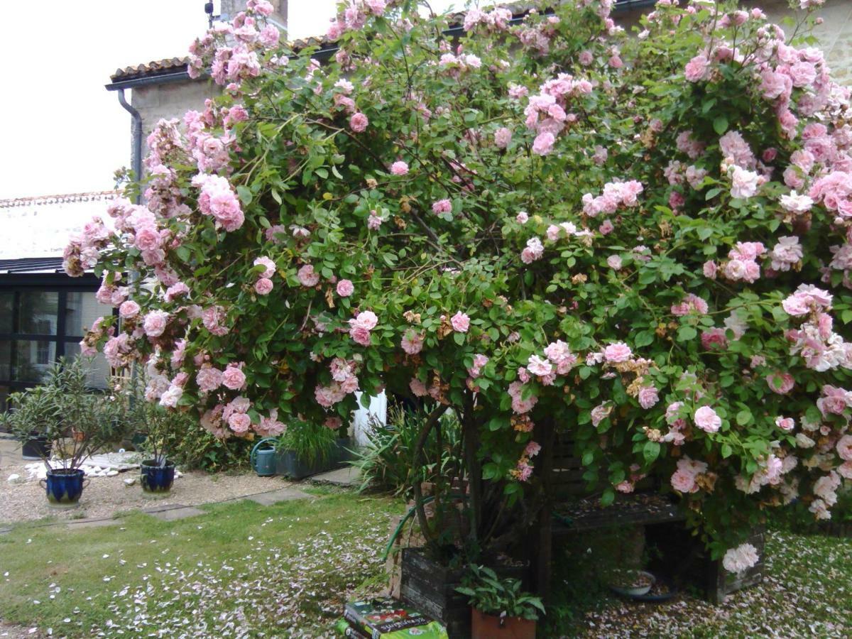 Bed and Breakfast La Rosaliere Chabournay Exteriér fotografie